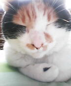 眠そう・・・